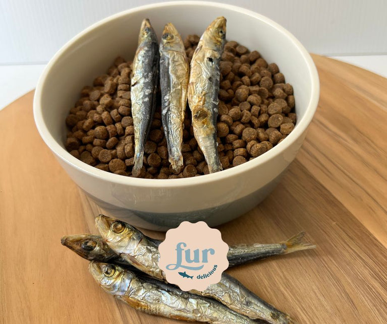 Dehydrated Pilchards